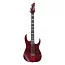 Електрогітара IBANEZ RGT1221PB SWL