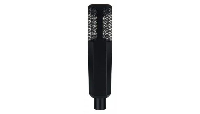 Студийный ламповый микрофон Lewitt PURE TUBE Essential, фото № 2