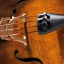 Струни для віолончелі THOMASTIK Dominant Pro 4/4
