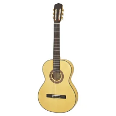 Классическая гитара Aria A-20F