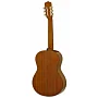 Классическая гитара Aria A-20-58 N