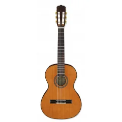 Классическая гитара Aria A-20-58 N