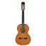 Классическая гитара Aria A-20-58 N