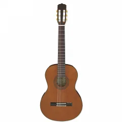 Классическая гитара Aria A-20 N