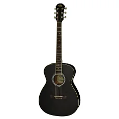 Акустическая гитара Aria AFN-15 BK