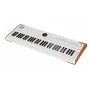 Синтезатор Arturia AstroLab 61 White