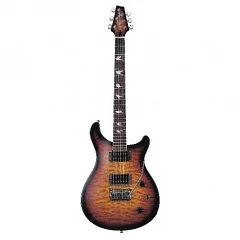 Электрогитара J&D Brothers Duke10Q