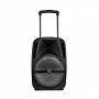 Автономна акустична система TMG A18X (BT+2MIC+USB+SD)