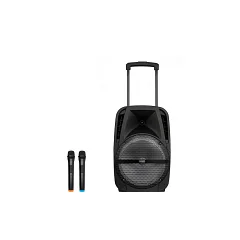 Автономна акустична система TMG A18X (BT+2MIC+USB+SD)