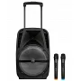 Автономна акустична система TMG A18X (BT+2MIC+USB+SD)