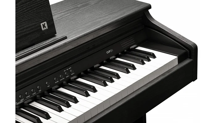 Цифрове піаніно Kurzweil CUP E1 SR, фото № 6