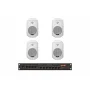 Комплект звуку DV audio LA804MS5W для зони оповіщення до 80м. кв.