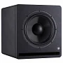 Активний студійний сабвуфер Prodipe Pro 10S V4 (Black Wood)