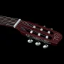 Класична гітара із звукознімачом Godin Multiac Grand Concert Encore Natural SG