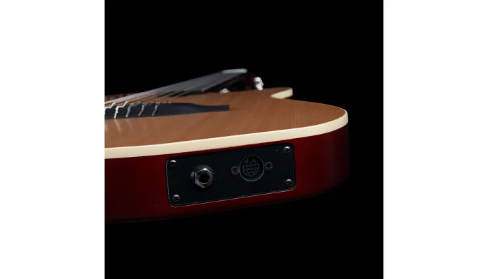 Класична гітара зі звукознімачом Godin ACS Nylon Natural SG, фото № 14