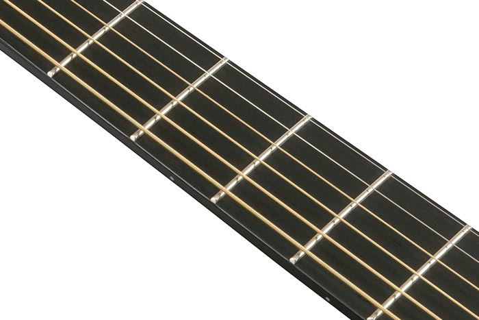 Электроакустическая гитара IBANEZ AEWC621 BOT