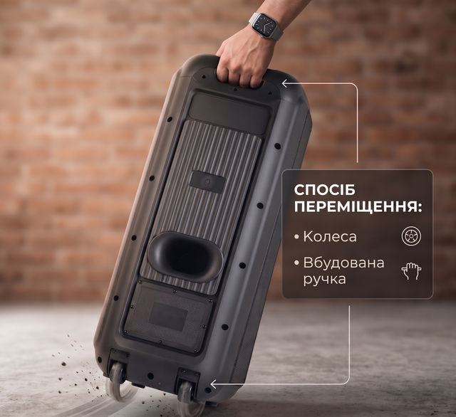 Автономная акустическая система TMG ZXX-5580 (BT+2MIC+USB+FM+TWS)