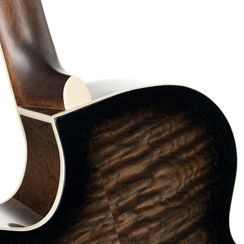 Exotic-SFX Ash BK