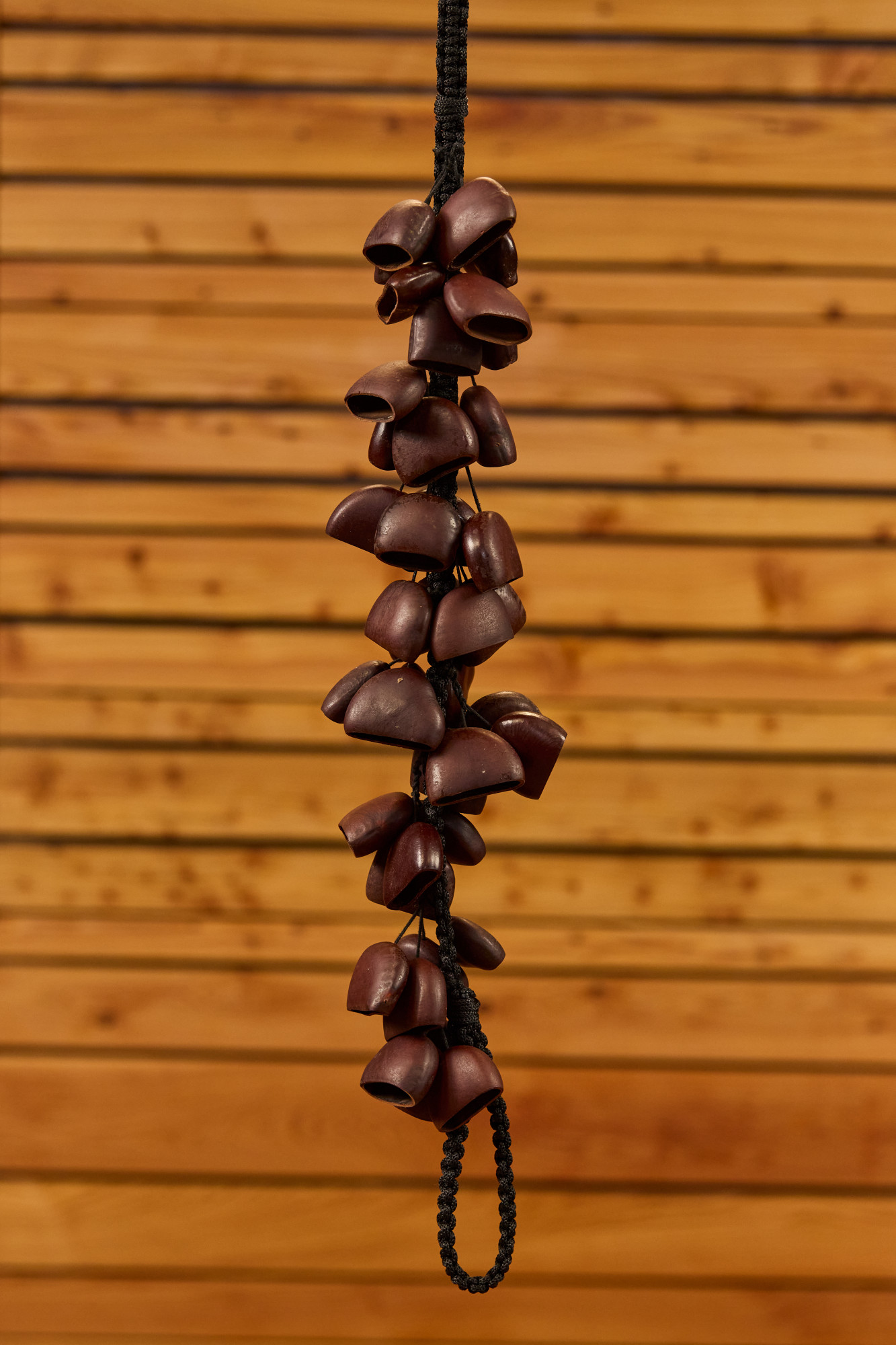 Звуковий ефект Meinl BI5 Bendo Bird Shaker 40 Seeds